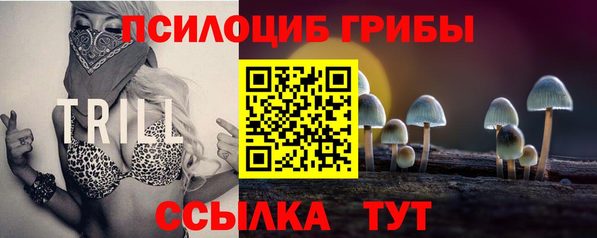 Галлюциногенные грибы Magic Shrooms Азнакаево