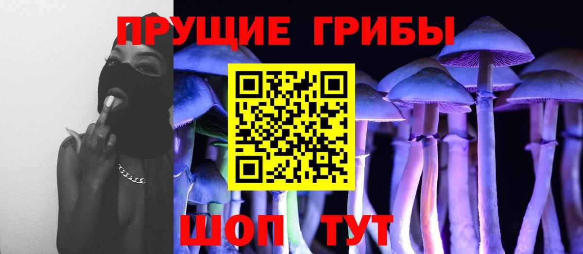 Галлюциногенные грибы Psilocybine cubensis  Вход с VPN  Псилоцибиновые грибы GOLDEN TEACHER  Азнакаево 
